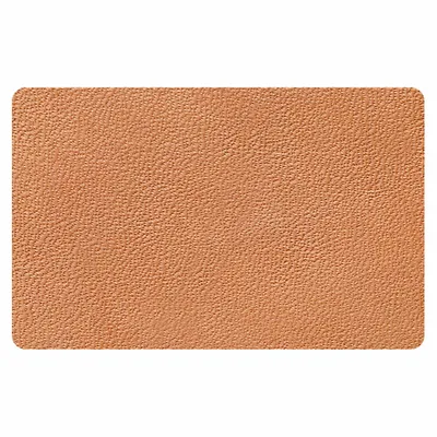 Camel Camel - All Signs Today