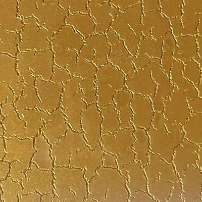 Texture 13 - All Signs Today