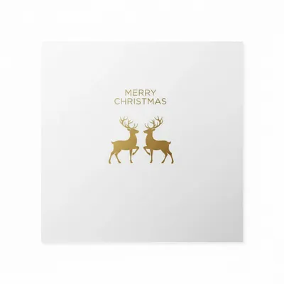 Style 12 - All Signs Today