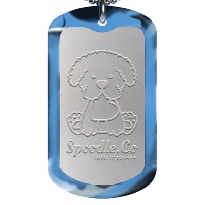 Aqua Camo - All Signs Today