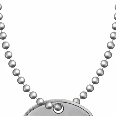 Larger Ball Chain - All Signs Today