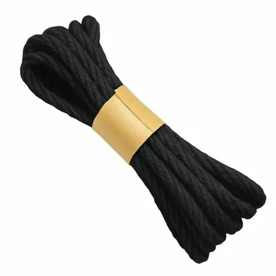 Black Rope - All Signs Today