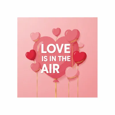 Standard - All Signs Today