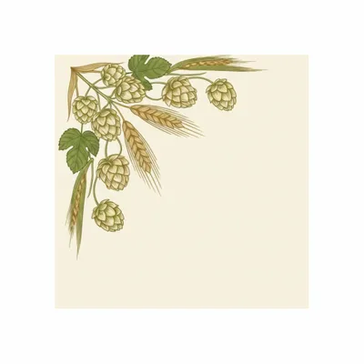 Standard - All Signs Today