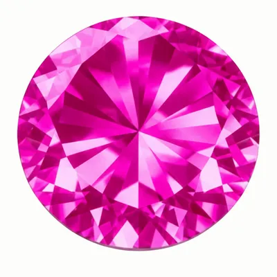 False Rose - All Signs Today