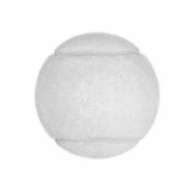 White - All Signs Today