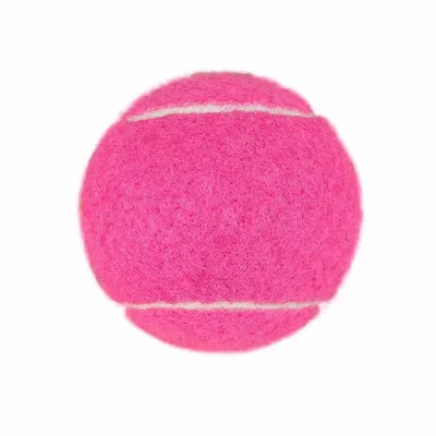 Fuchsia - All Signs Today