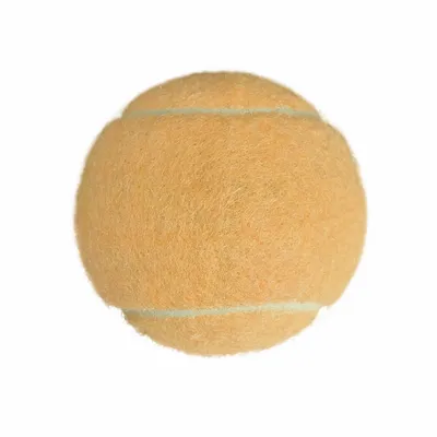 Rice Orange - All Signs Today