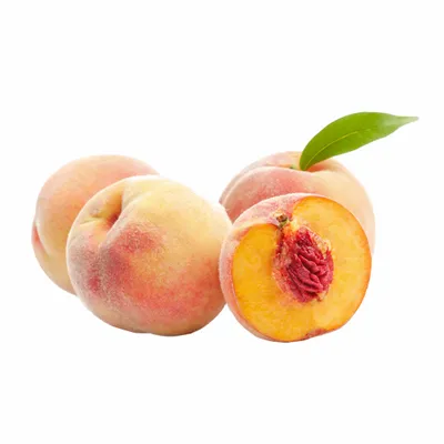 Peach - All Signs Today