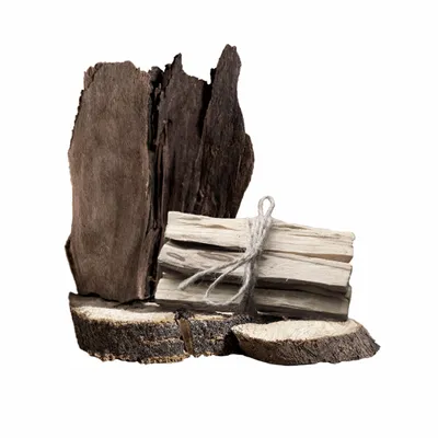 Black Dhaka - All Signs Today