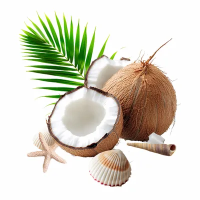 Coconut - All Signs Today