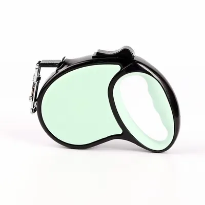 Mint Green - All Signs Today