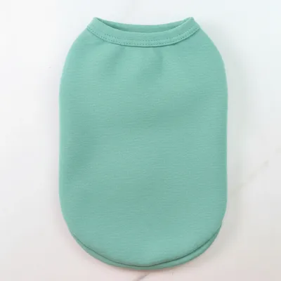 Mint Green - All Signs Today