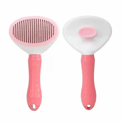 Pink - All Signs Today