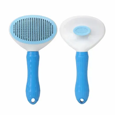 Blue - All Signs Today