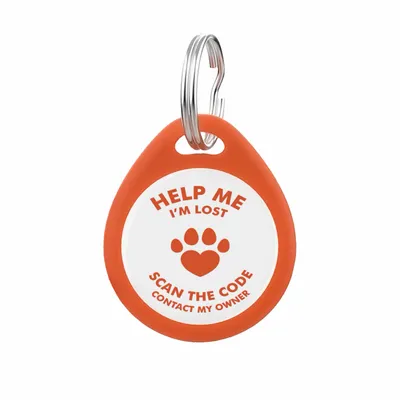 Orange - All Signs Today