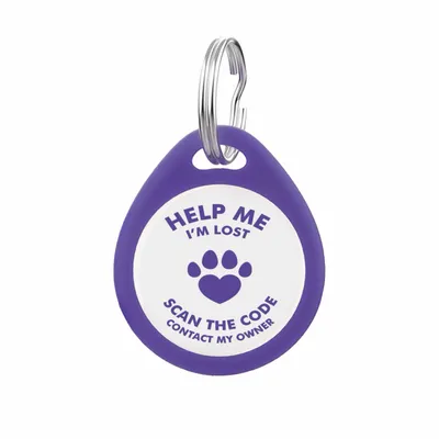 Blue - All Signs Today