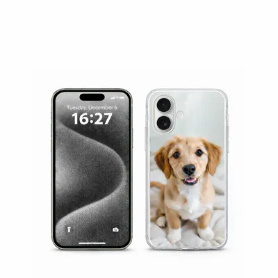 iPhone 17 - All Signs Today