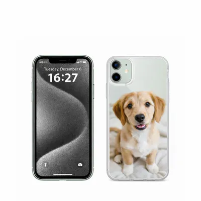 iPhone 12 - All Signs Today