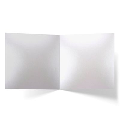 Pearl Glitter Paper