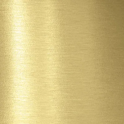 Brushed Gold - All Signs Today