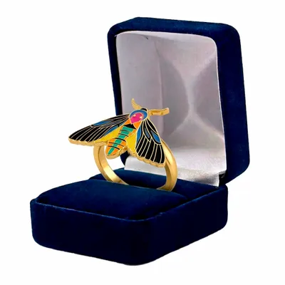 Blue Velvet Box - All Signs Today