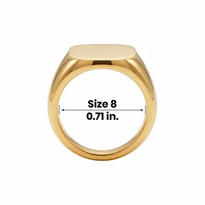 Size 8 - All Signs Today