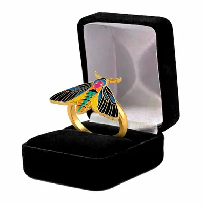 Black Velvet Box - All Signs Today