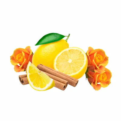 Amber - All Signs Today