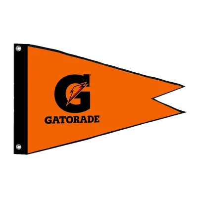 Burgee Flag - All Signs Today