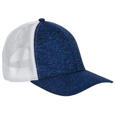 BLUE/WHITE BLUE/WHITE - All Signs Today