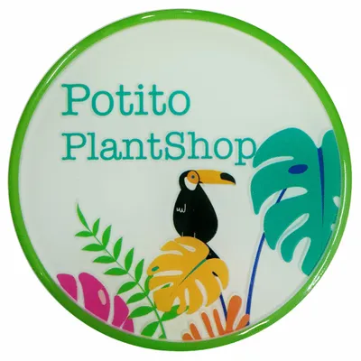 TPU Domed Patch - All Signs Today