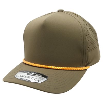 Olive/Gold Olive/Gold - All Signs Today
