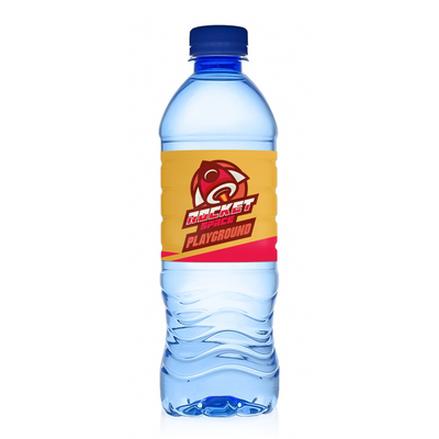 16.9 oz Blue Water Bottle