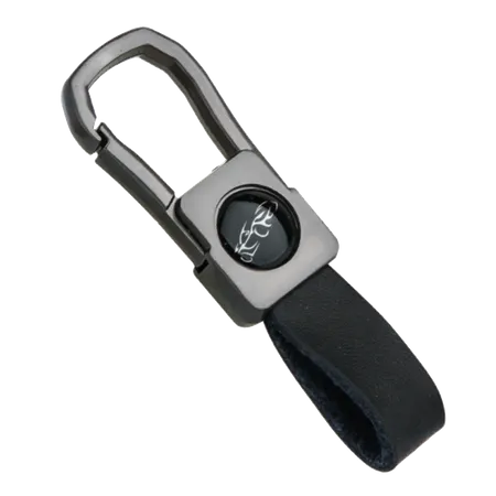 Gun Metal Caribiner Keychain - All Signs Today