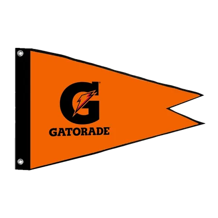 Burgee Flag - All Signs Today