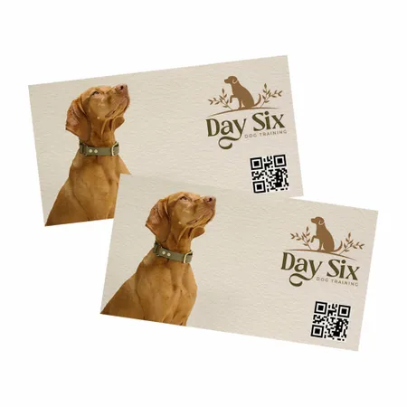 QR Businesss Cards - All Signs Today