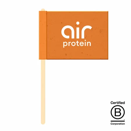 Seed Paper Flags - All Signs Today