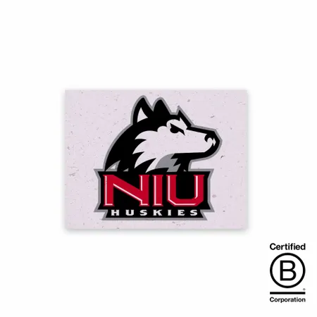 Seed Paper Panel Cards - All Signs Today