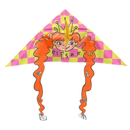 Creative Shape Kites - All Signs Today