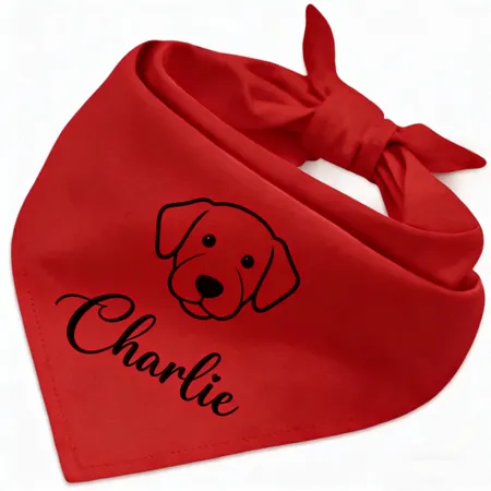 Pet Supplies - All Signs Today