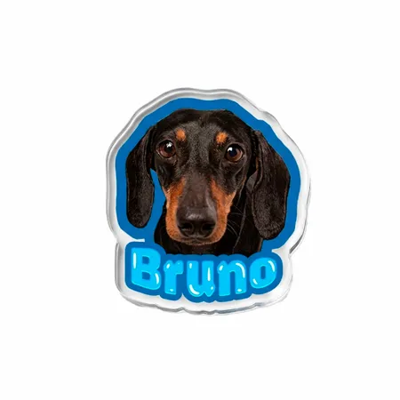 Custom Photo Paper Clips - All Signs Today