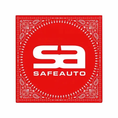 Traditional Paisley Bandanas - All Signs Today