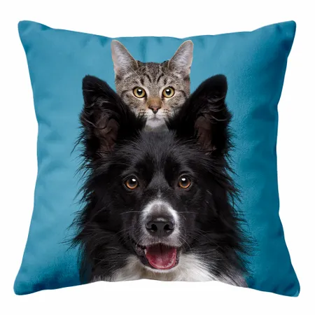 Square Pillows - All Signs Today