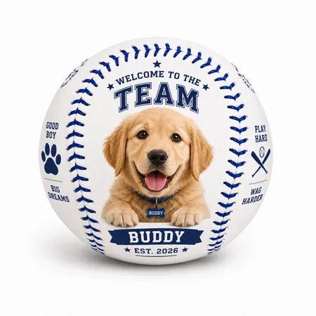 Promotional Baseballs - All Signs Today
