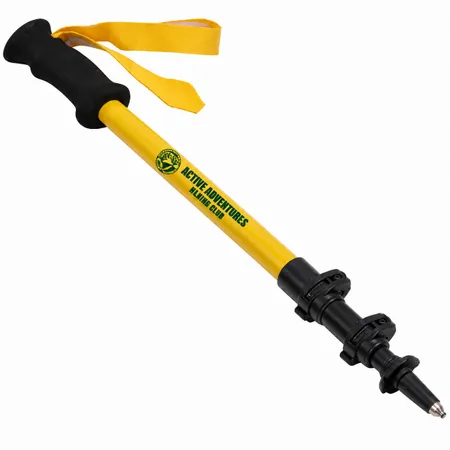 Kid's Ultralight Hiking Poles - All Signs Today