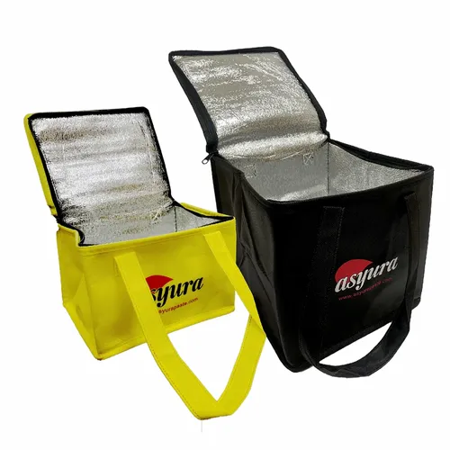Insulated Food Bag - All Signs Today