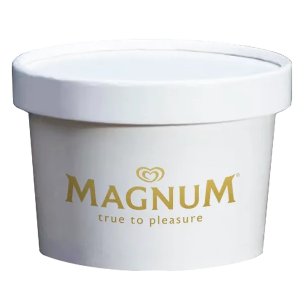 Ice Cream Container - All Signs Today