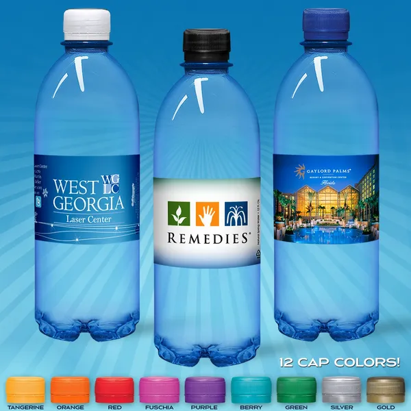 16.9oz Flat Water Bottle (Blue Tint) - All Signs Today