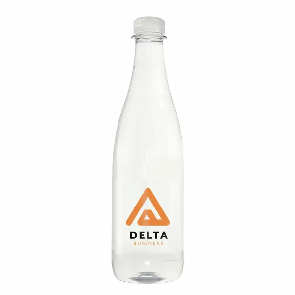 16.9 oz Champagne Style Water Bottle - All Signs Today